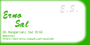 erno sal business card